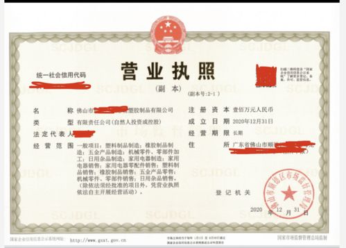 順德塑料制品公司新手指南 依托國內(nèi)貿(mào)易代理完成公司注冊全流程