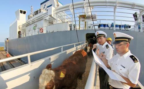 南美白對(duì)蝦進(jìn)口報(bào)關(guān)清關(guān)全流程指導(dǎo)與國內(nèi)貿(mào)易代理服務(wù)方案