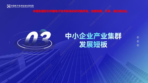 數智賦能，集群崛起 2023年中國中小企業特色產業集群電子商務技術服務發展觀察